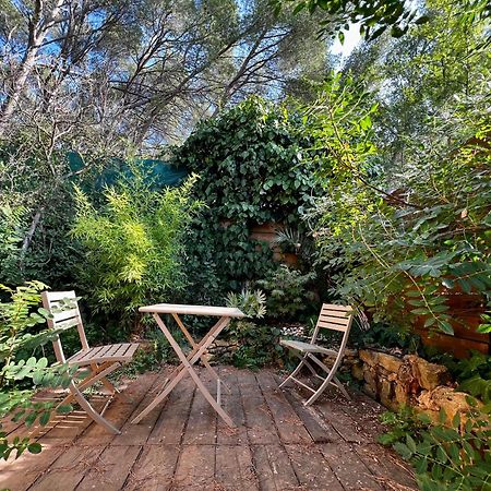 Charmant Studio Lodge Climatise Avec Jardin Et Vue Sur Le Pic Saint Loup Jacou Zewnętrze zdjęcie